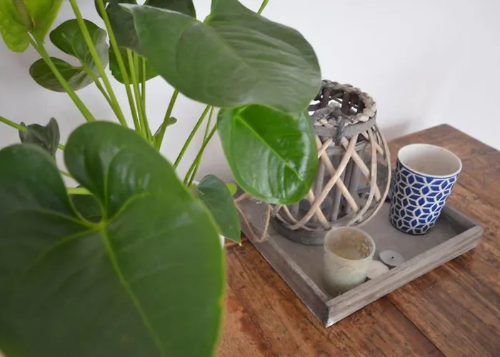 Apartment 't Duinhuisje