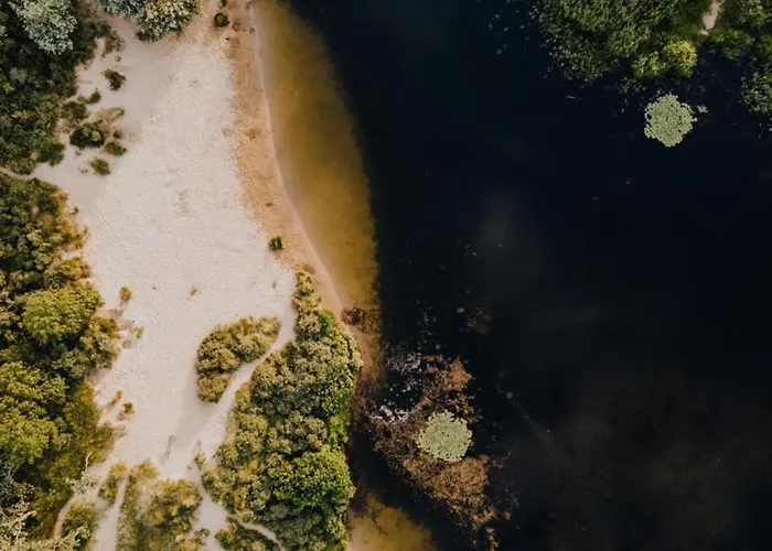 't Duinhuisje Apartment *